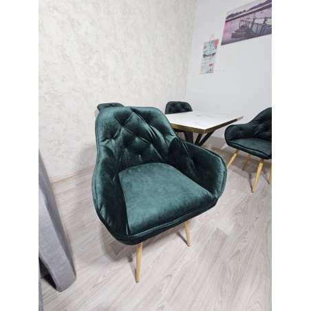 Scaune tapițate elegante